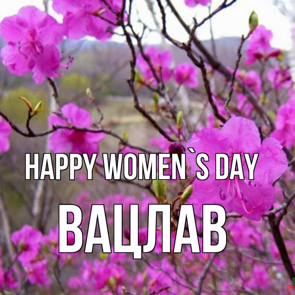 Greetings card с именем, Вацлав happy women`s day международный женский день Greetings with text for free download 